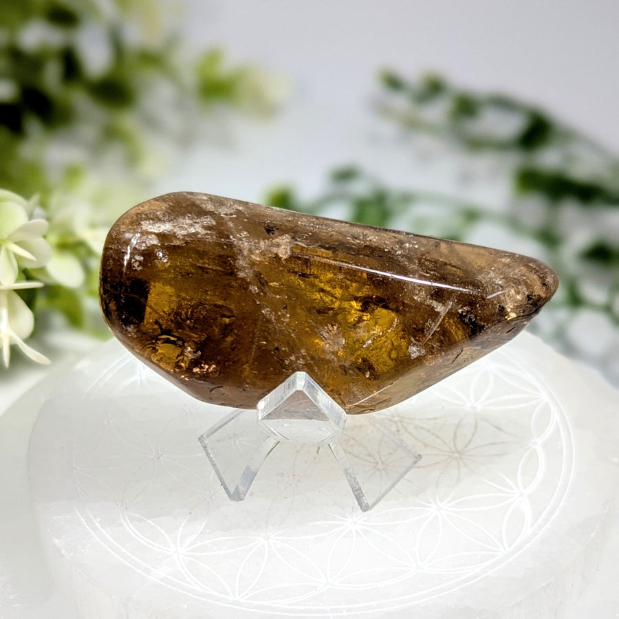 Dark natural citrine 2.7 polished specimen with polished brown smoky quartz and golden inclusions on acrylic stand