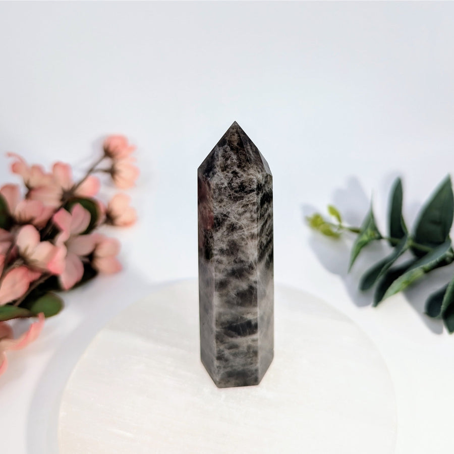 Polished black and gray crystal point Tower Dark Smoky Quartz 3.9 inches