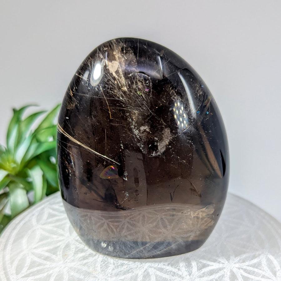 Polished smoky quartz crystal with golden inclusions in Dark Smoky Quartz 3 inch Freeform #LV8642