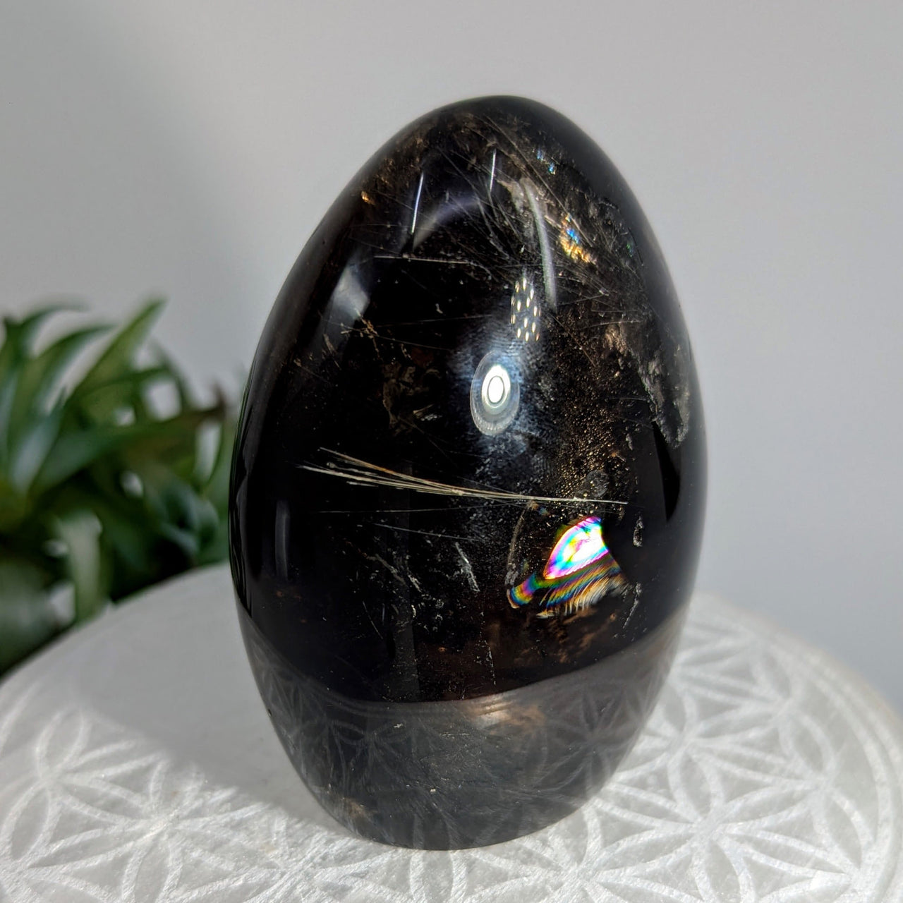 Polished black crystal egg from Dark Smoky Quartz 3-inch Freeform #LV8642