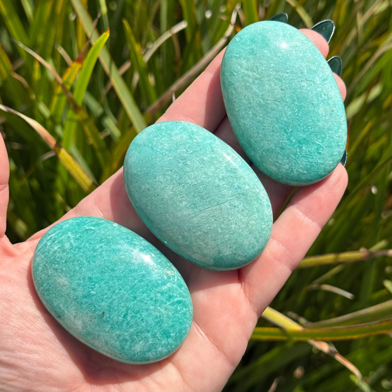 Amazonite Palm Stone #BC1270