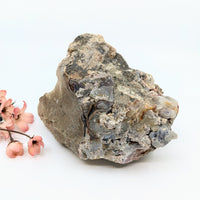 Rugged Deer Creek Fire Agate geode with gray-white crystals, 1.5-6in rough