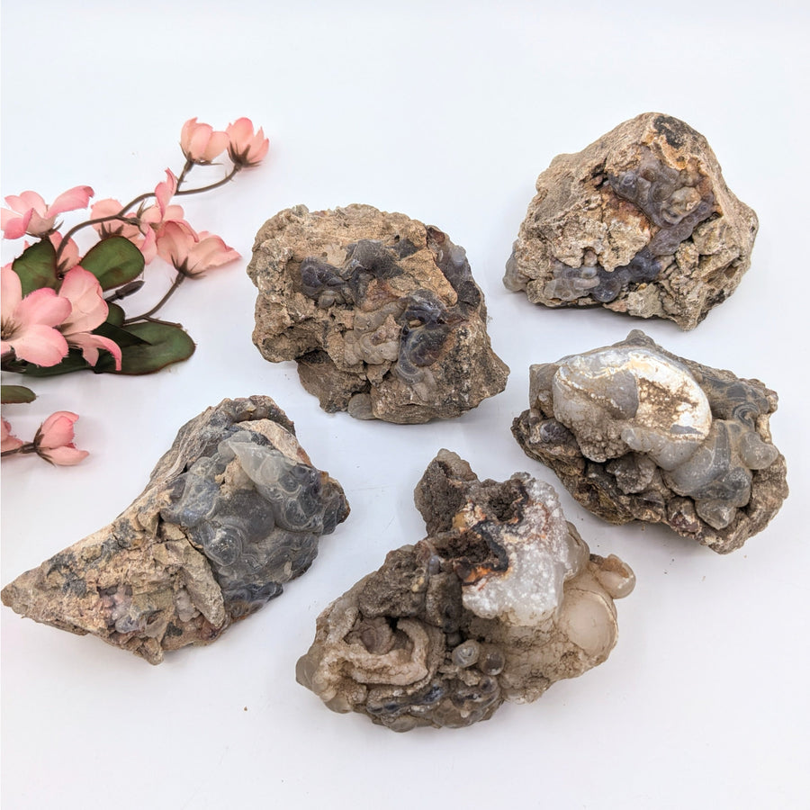 Five mixed size Deer Creek Fire Agate geodes, 1.5-6 inches, rough earthy tones