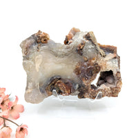 Translucent Deer Creek Fire Agate geode with gray brown crystals, 1.5-6in rough