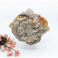 Translucent multi-toned Deer Creek Fire Agate geode with amber and gray bands in rough matrix, 1.5-6in mixed sizes