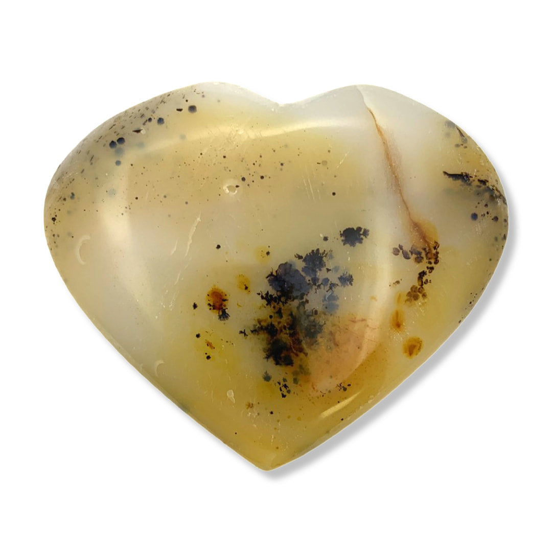 Dendrite Agate Heart (2.5/64g) #SK3933