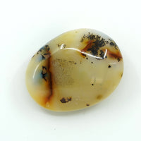 Thumbnail for Dendrite Agate Polished Pebble (105g) #LV0971