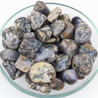 Thumbnail for Close-up of Dendrite Agate Tumbled Stones in a bowl on a white surface, SKU #SK6883