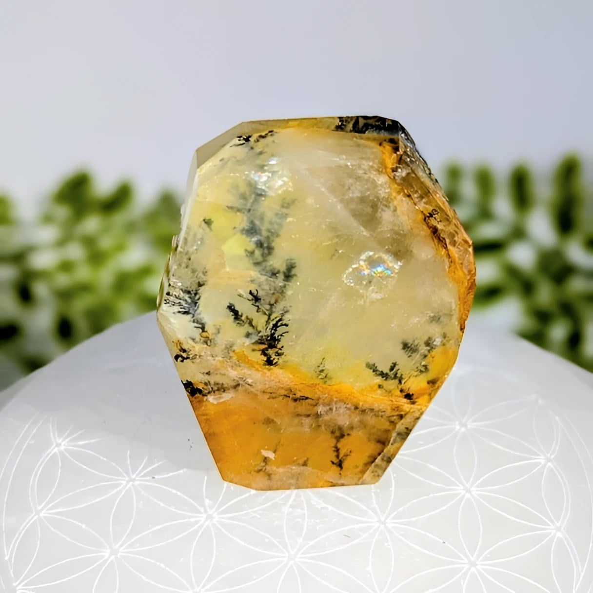 Dendrite quartz 2.1 inch polished geo freeform crystal #BC1058