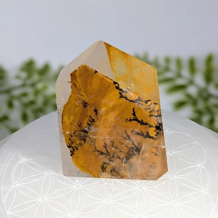 Dendrite Quartz 2.1’’ Polished Point #BC1057 golden crystal with black veins