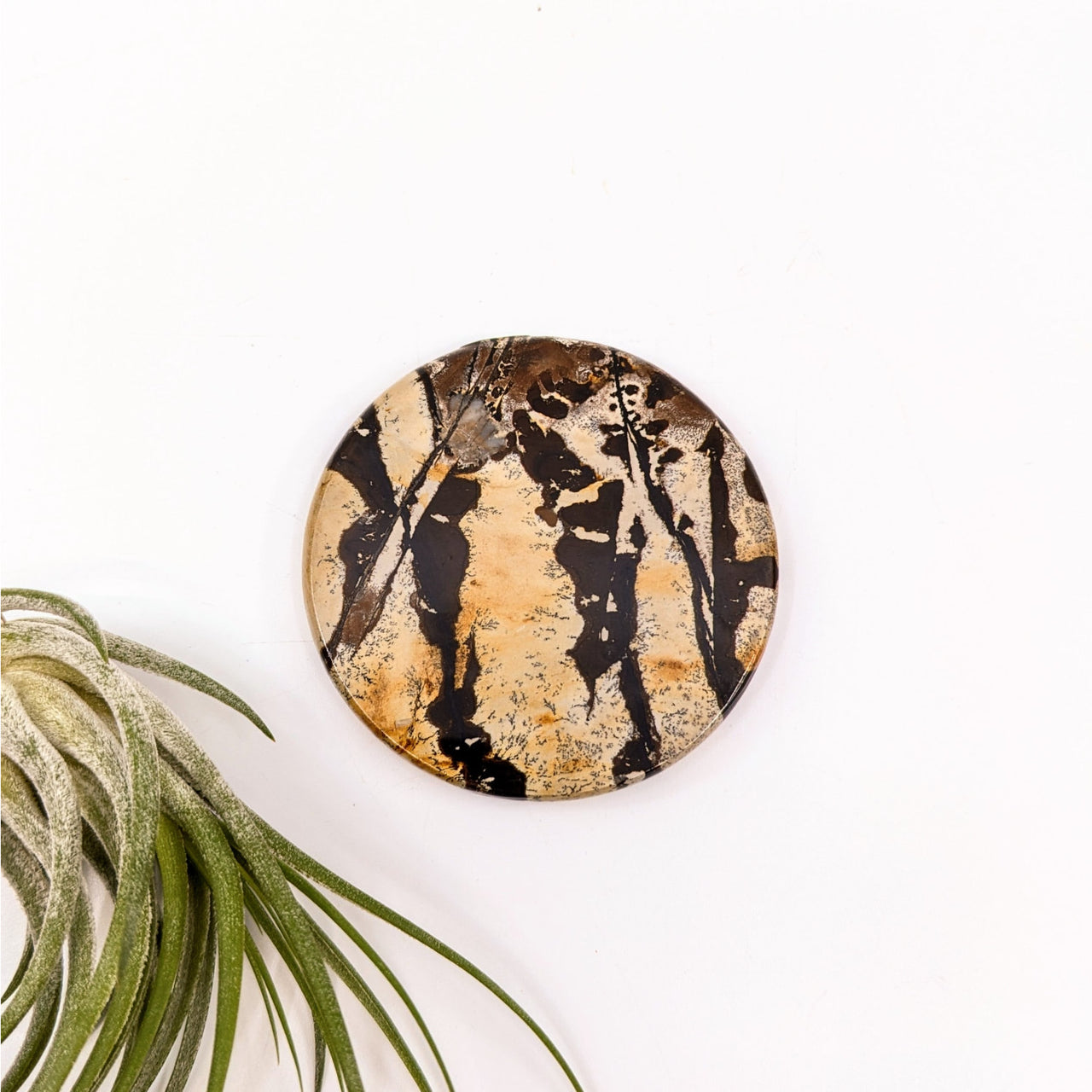 Dendritic Jasper 2.3’’ Disc #LV6636 - $20