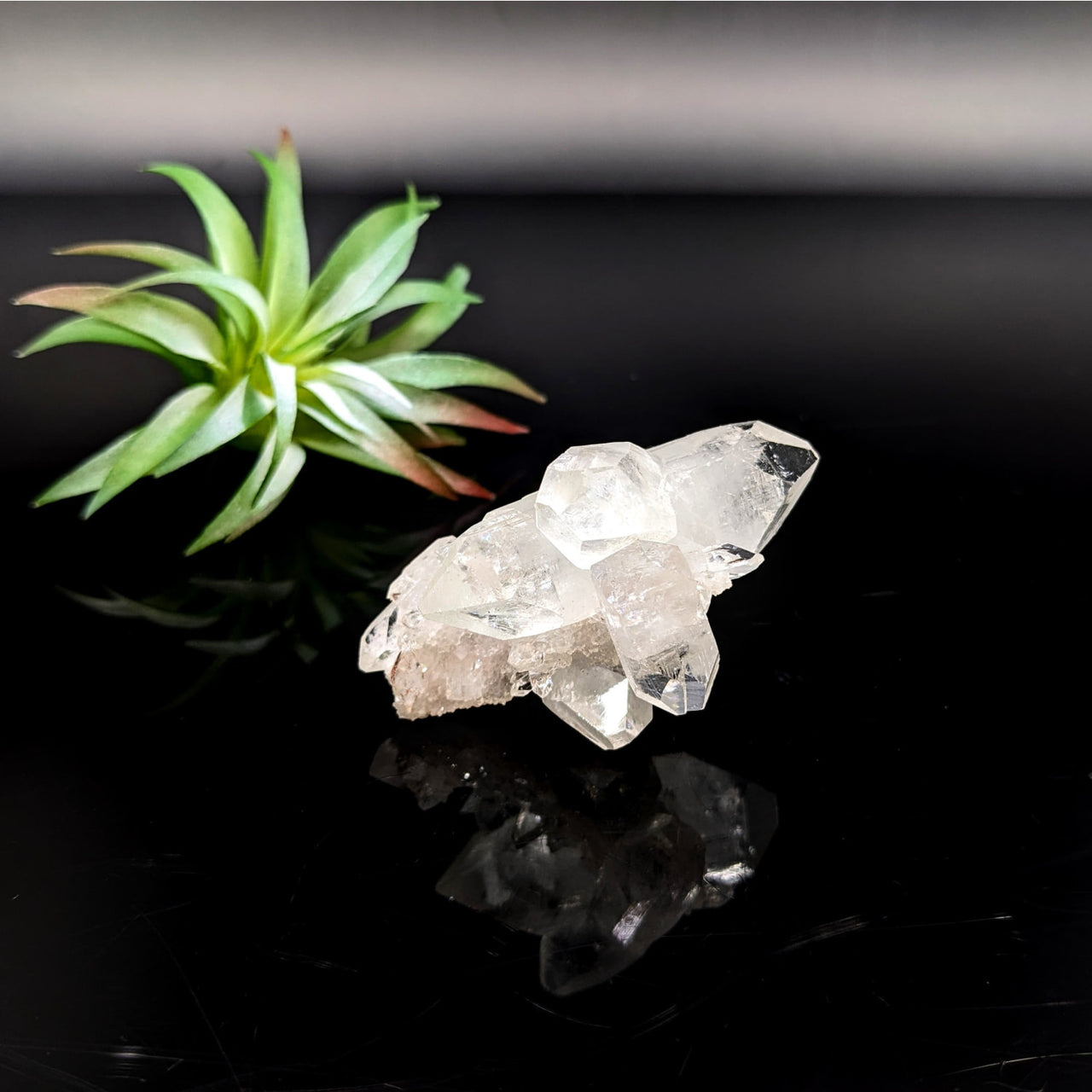 Clear Quartz Crystal Cluster with Multiple Points from Diamond Apophyllite 3’’ Cluster