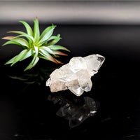 Thumbnail for Clear Quartz Crystal Cluster with Multiple Points from Diamond Apophyllite 3’’ Cluster