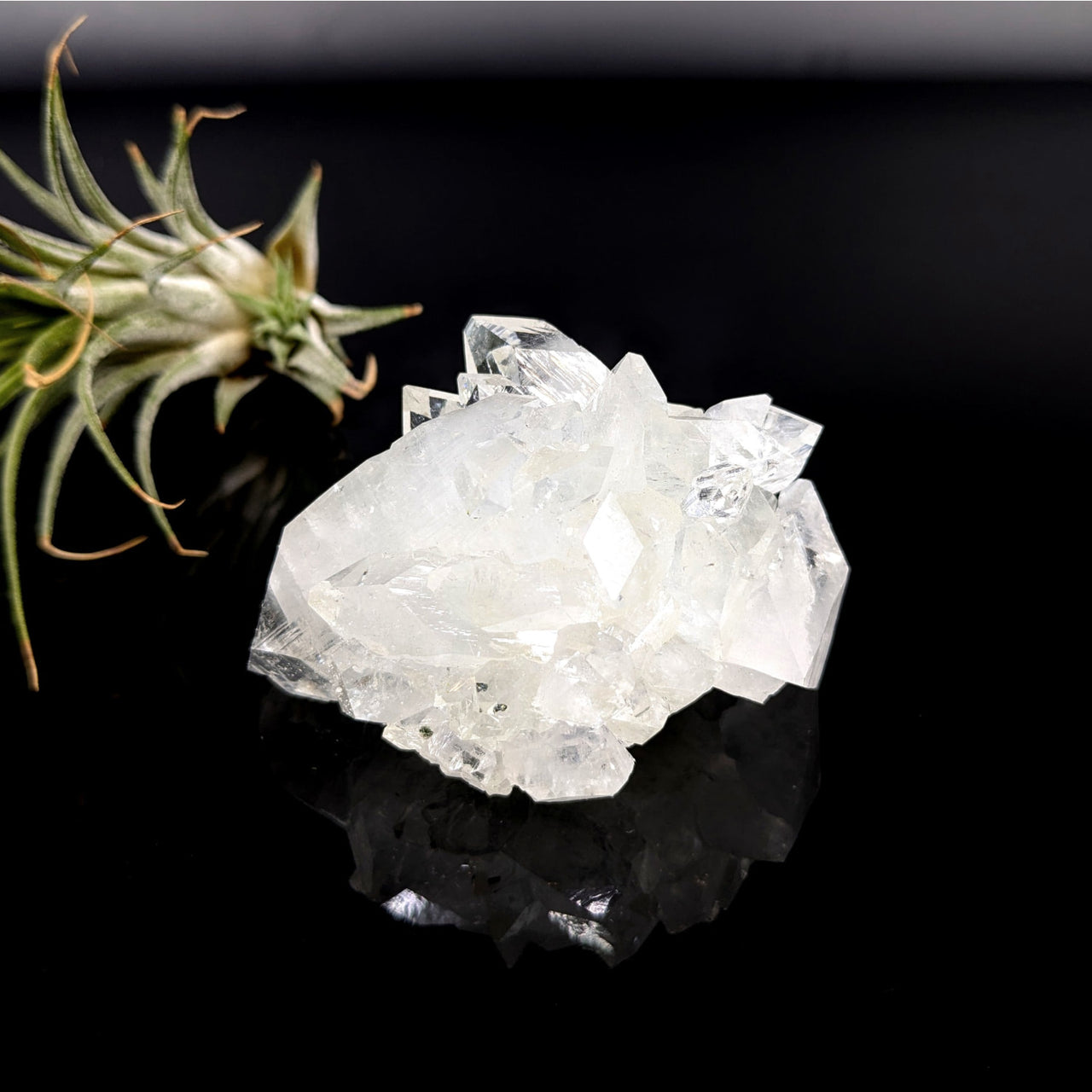 Diamond Apophyllite 2.5’’ Cluster #LV5630 - $52