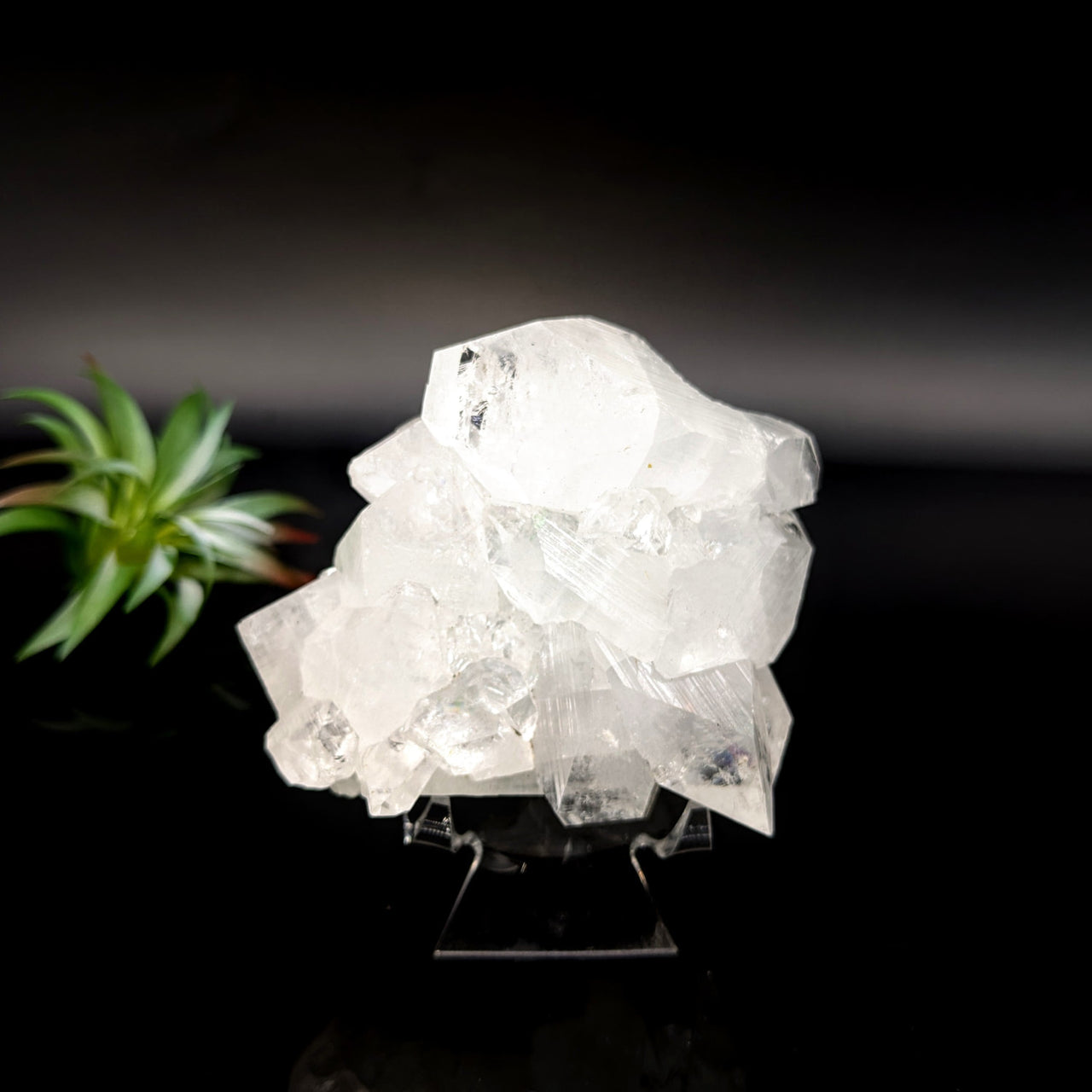 Clear Diamond Apophyllite 2.8’’ cluster on black display stand for elegant decor