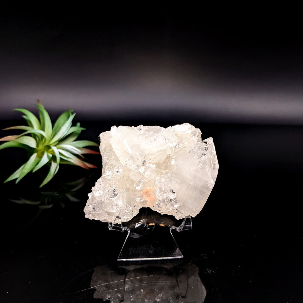 Raw white quartz crystal cluster on display for Diamond Apophyllite 2.9’’ Cluster