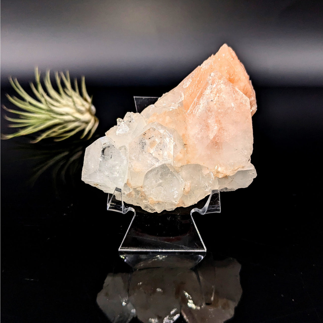 Diamond Apophyllite 2.9’’ Natural Cluster #LV6444 - $45