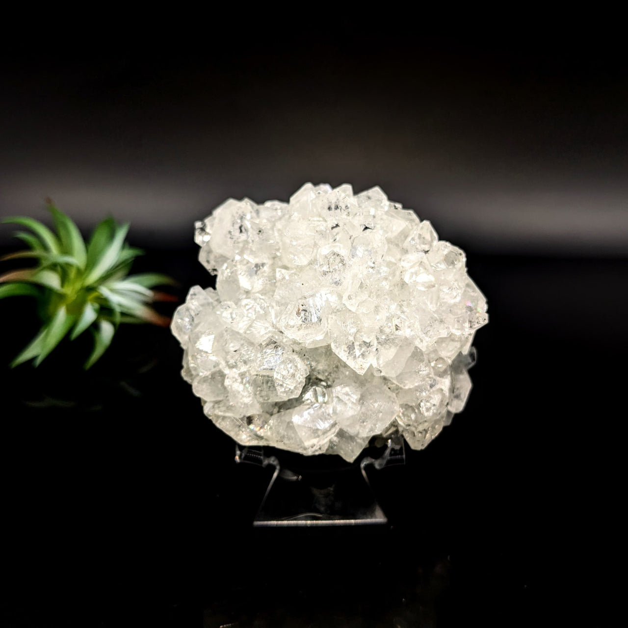 Clear Diamond Apophyllite 3.1’’ cluster with rounded druzy mineral formation