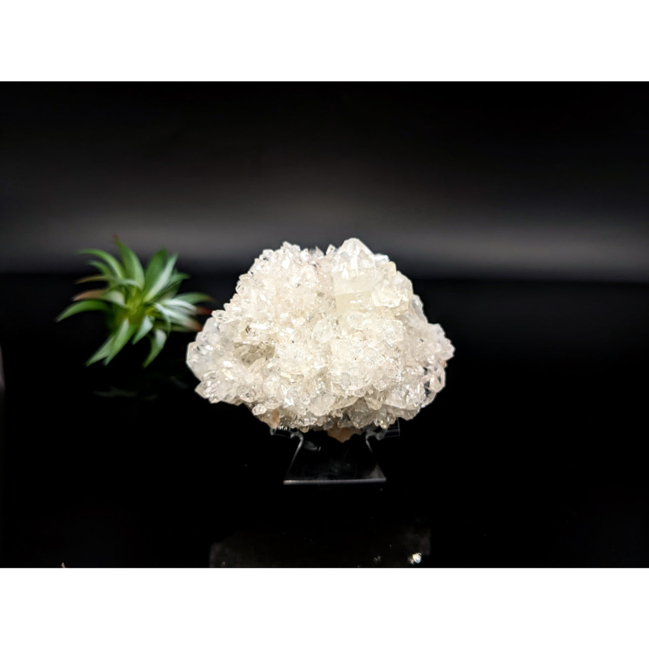 White crystalline Diamond Apophyllite 3’’ cluster mounted on display stand