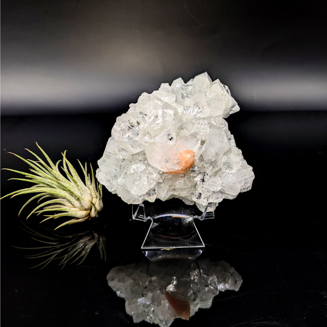 Diamond Apophyllite 3.3’’ Natural Cluster #LV6453 - $68