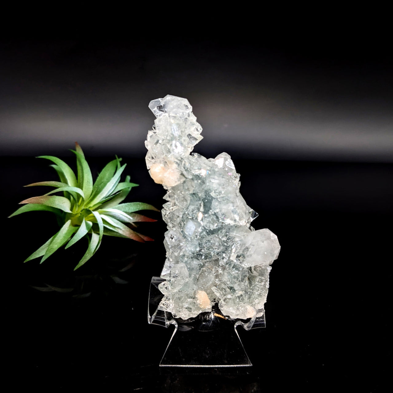 Diamond Apophyllite 4’’ cluster displaying translucent white and gray crystal formations