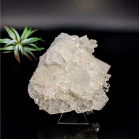 Sparkling white crystal cluster from Diamond Apophyllite 3.5 inch Cluster LV7431