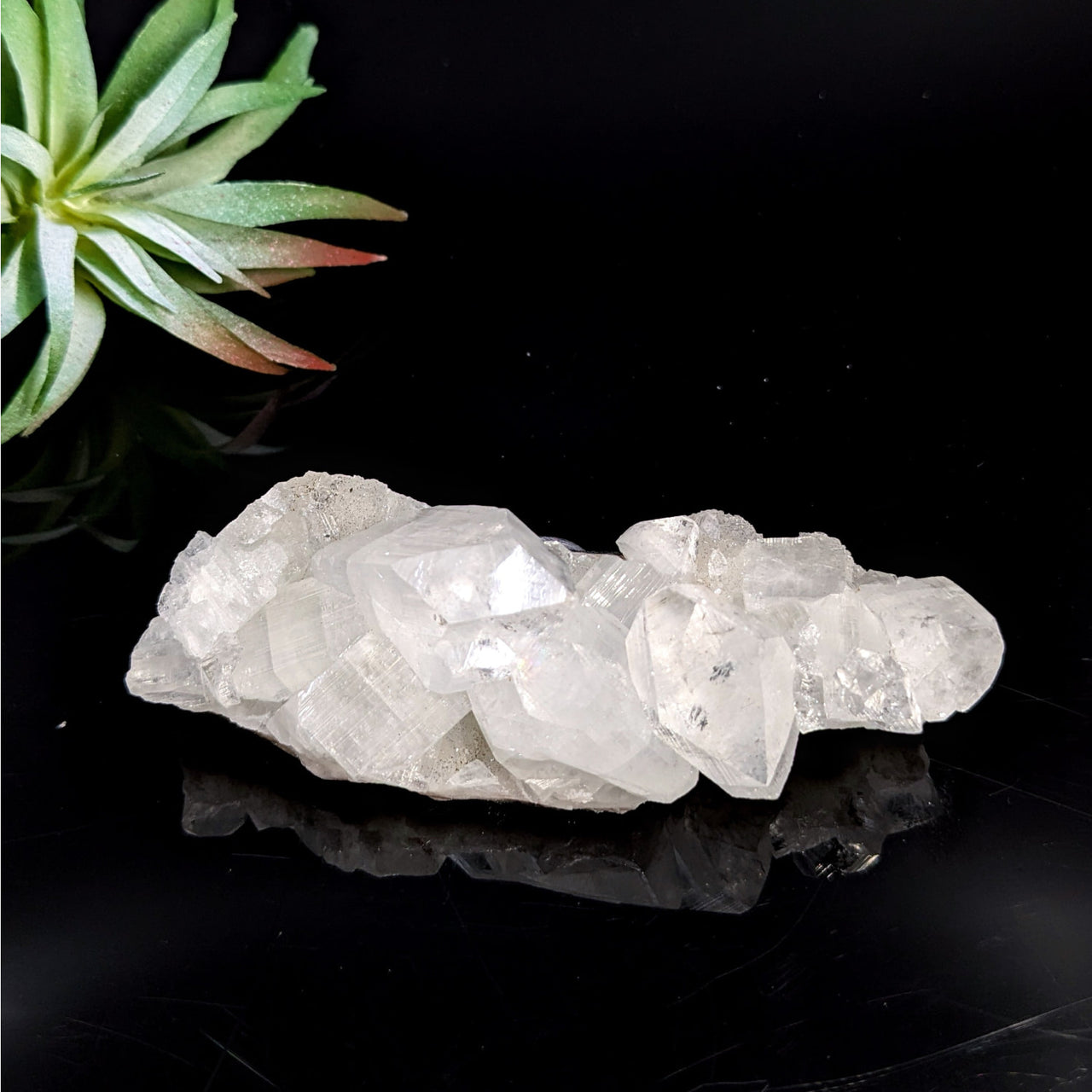 Cluster of clear Quartz Crystals from Diamond Apophyllite 3.5 inch Cluster LV7435