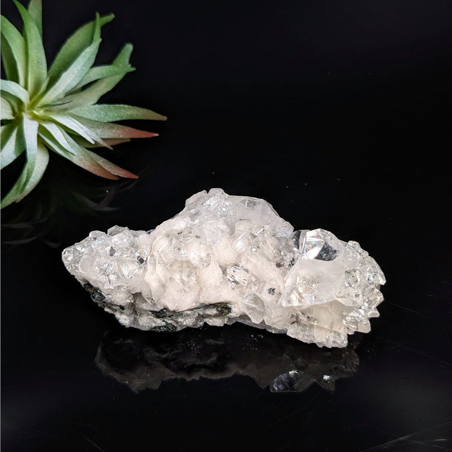 Sparkling clear crystal cluster from Diamond Apophyllite 3.5 inch Cluster LV7436