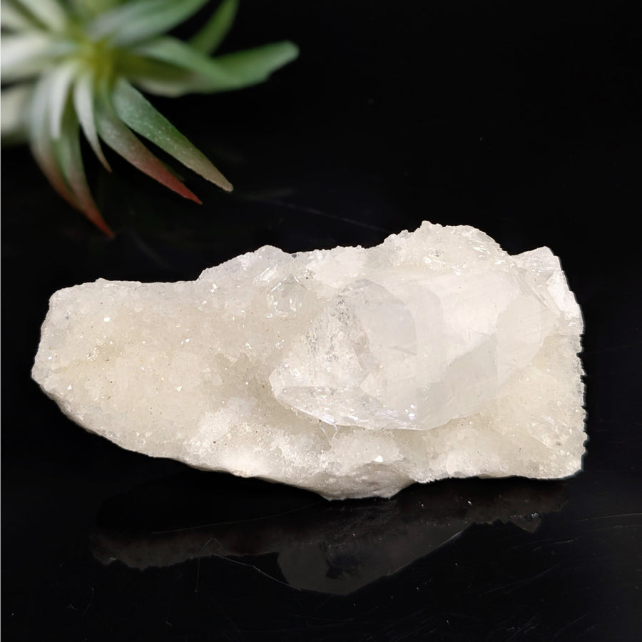Diamond Apophyllite 3.5’’ Cluster #LV7437 - $45