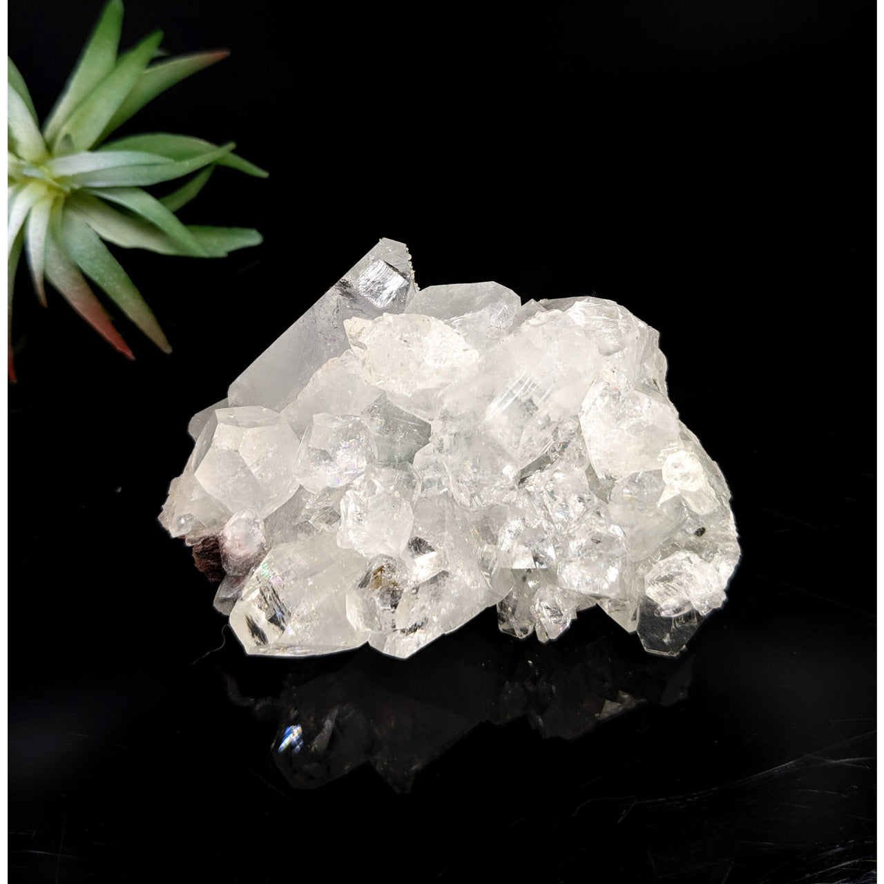 Translucent Quartz Crystal Cluster from Diamond Apophyllite 3 inch Cluster LV7433