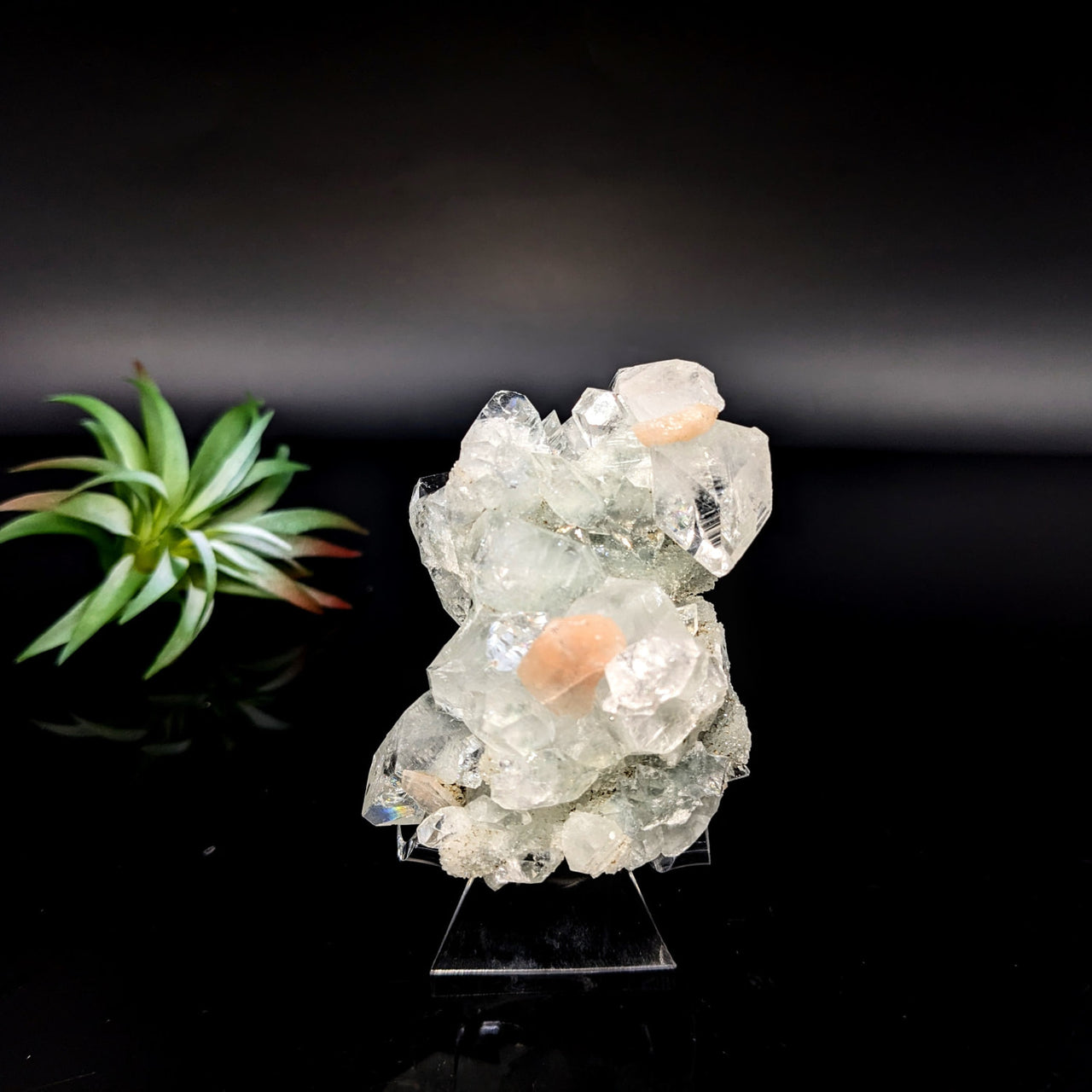 Clear Quartz Crystal Cluster with Peachy-Pink Inclusions on Stand Diamond Apophyllite 8’’ Cluster