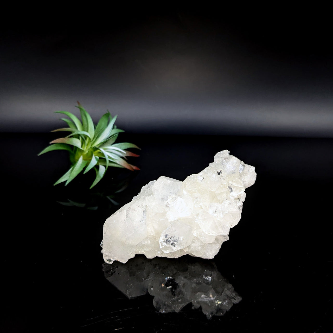 Raw white quartz crystal cluster with angular formations in Diamond Apophyllite 5’’ cluster