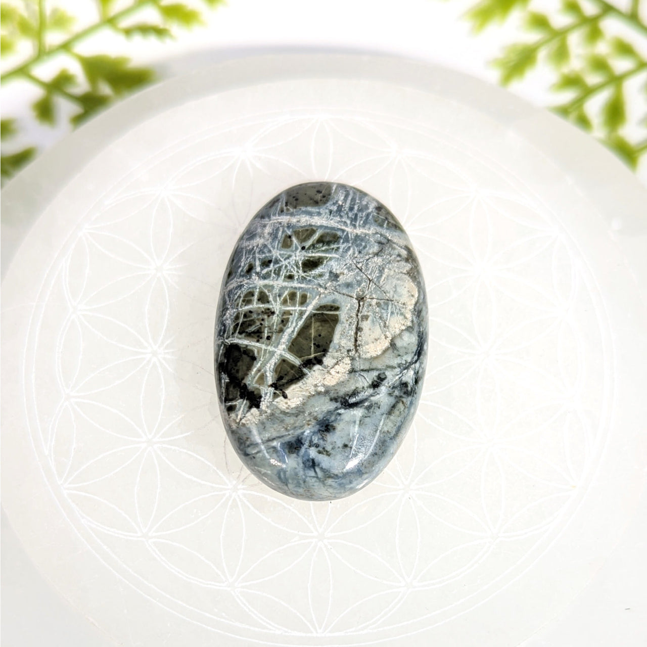 Dianite 2’’ polished oval gray white palm stone #BC0928 with silver veining