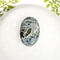 Dianite 2’’ polished oval gray white palm stone #BC0928 with silver veining