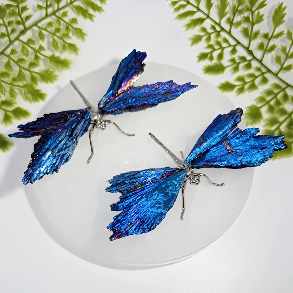 Iridescent blue Dichroic Kyanite 4.5’’ dragonfly brooch #BC1008 back view