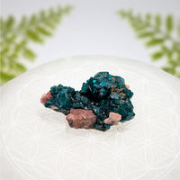Vibrant teal pink Dioptase 1.6 inch cluster BC1055 crystal specimen