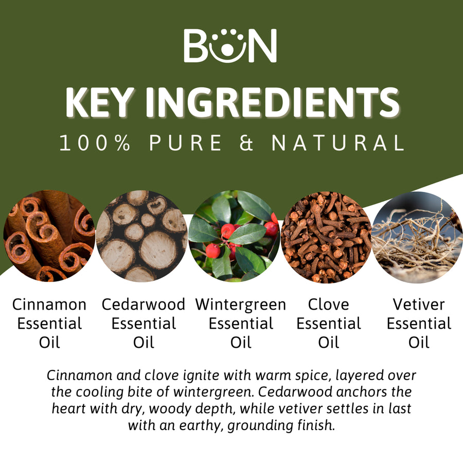 Eastern Aromatique essential oil blend with cinnamon, cedarwood, wintergreen, clove, and vetiver icons, 15ml by Best of Nature BN59