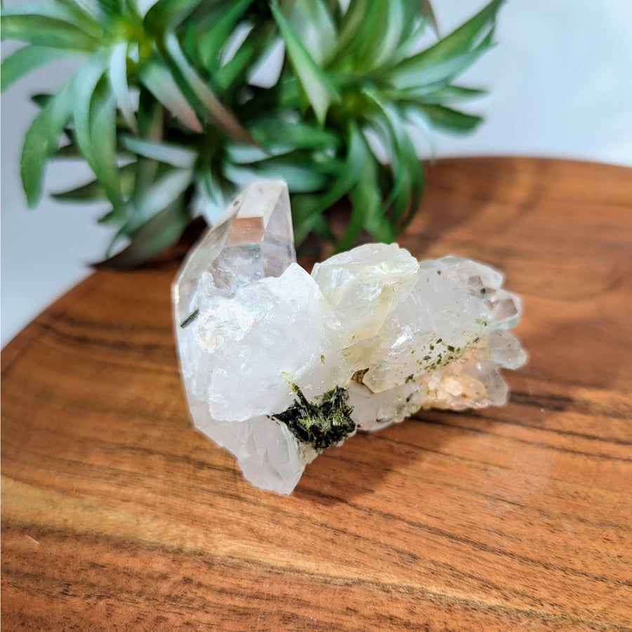 Epidote on Quartz 2.4" Natural Cluster #LV8617