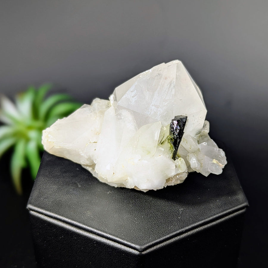 Quartz crystal cluster with black Tourmaline in the Epidote in Quartz 2.7 inch natural mineral specimen