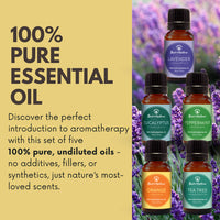 Essential Oil Gift Set of 5 by Best of Nature LV9560