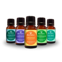 Essential Oil Gift Set of 5 by Best of Nature LV9560 basket