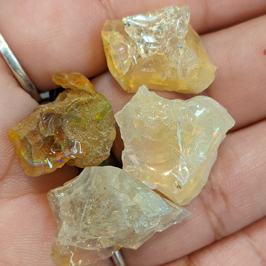 Yellow and white Ethiopian Welo opal rough pieces in hand R210