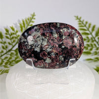 Eudialyte AA 2.5’’ polished oval red black palm specimen #BC0918