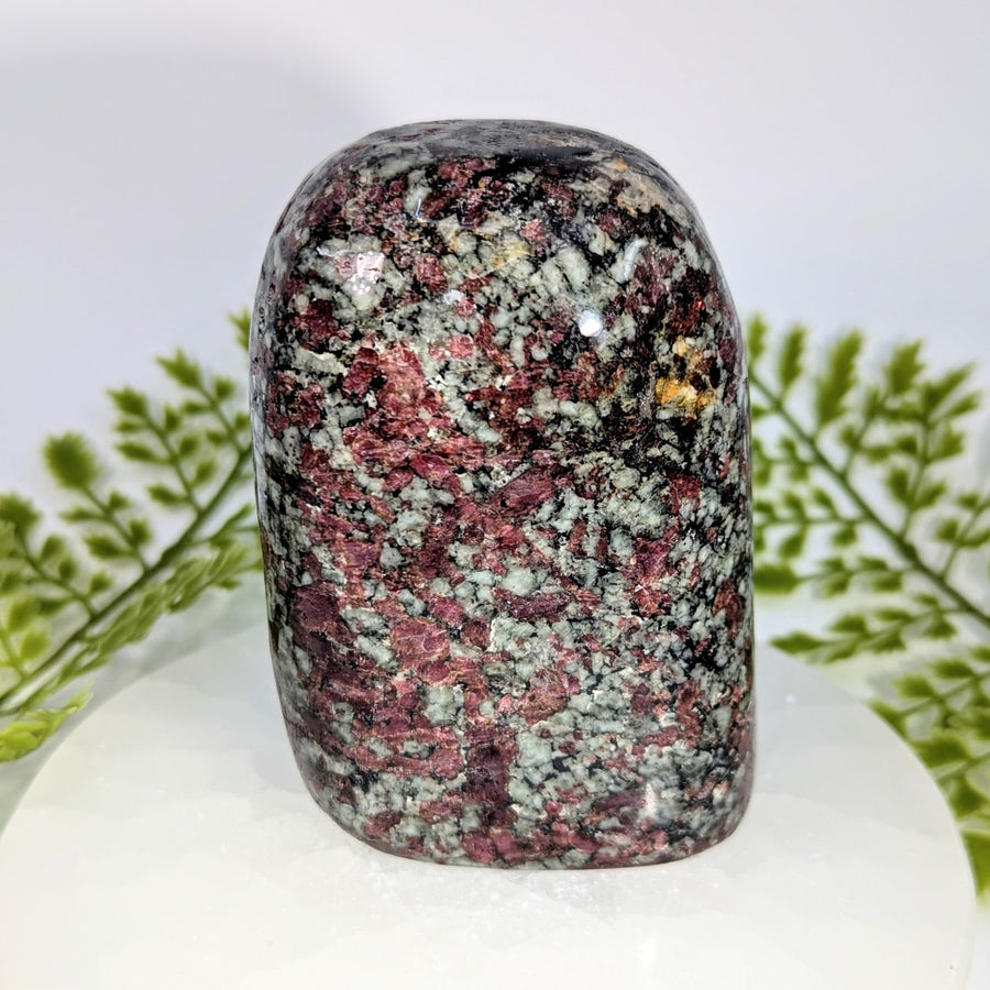 Polished oval red black speckled eudialyte AA 3.7in freeform BC0909