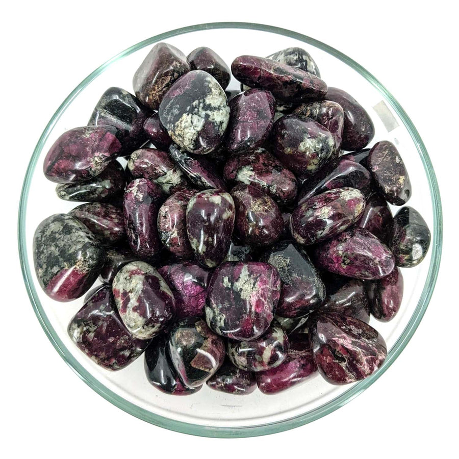 Polished purple and black Eudialyte AA tumbled stones in a glass bowl
