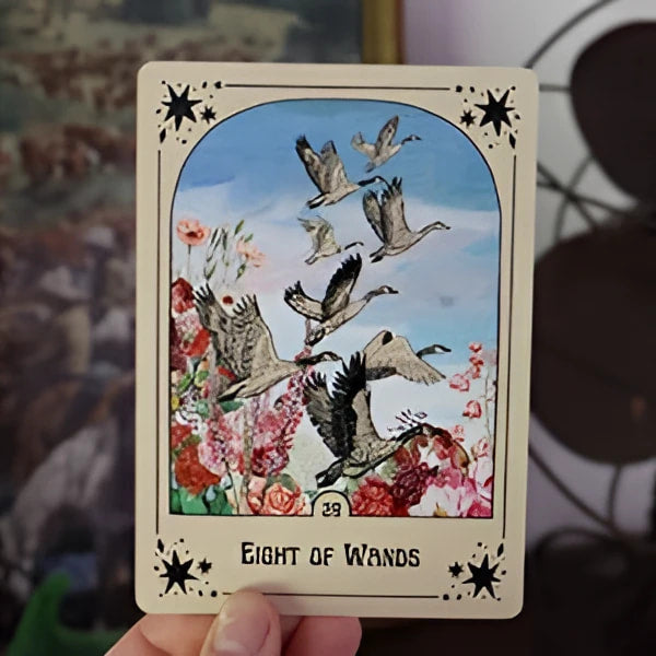 Tarot card of eight birds in flight on branches for Every Little Thing You Do Is Magic Workbook