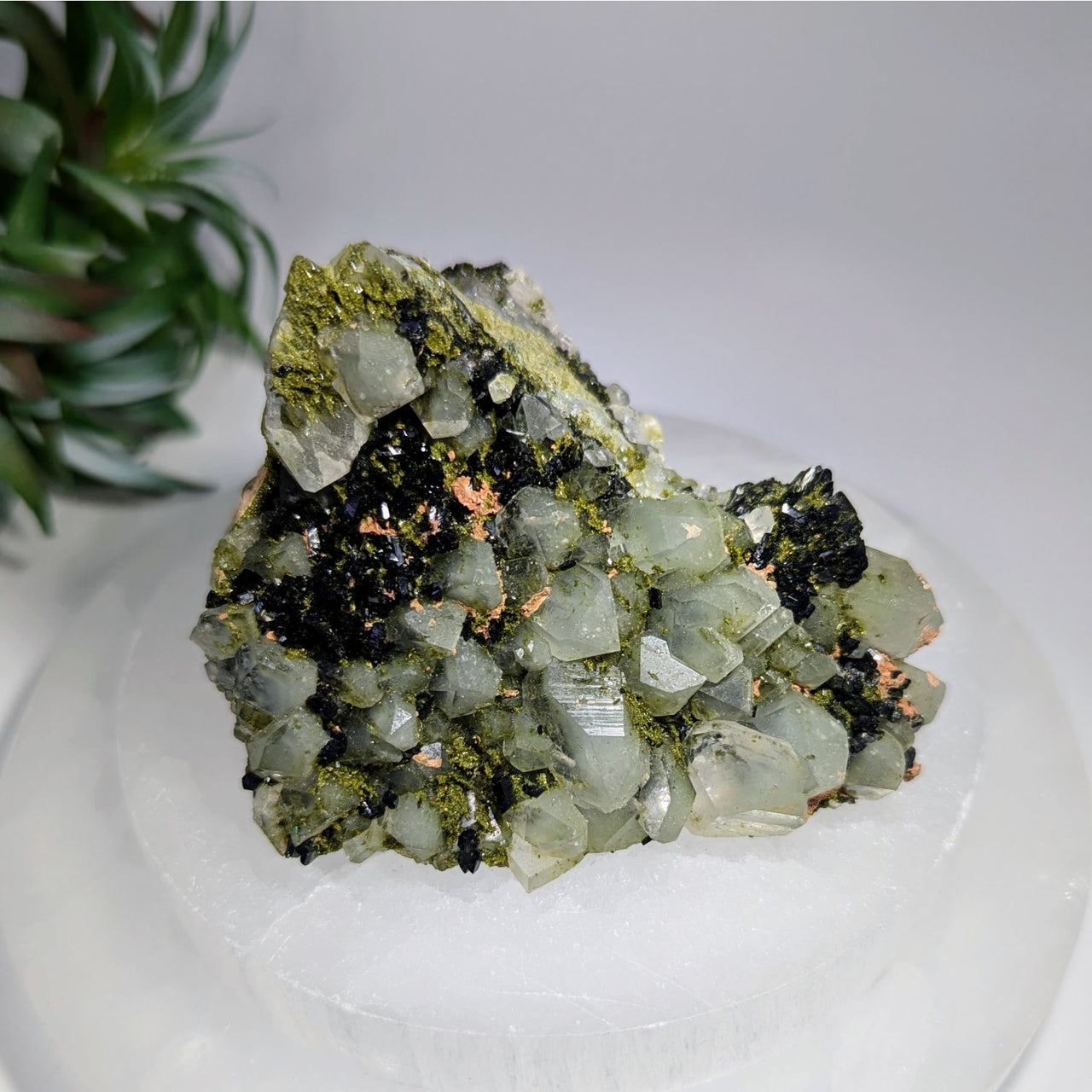 Fairy Forest Epidote 3.3’’ w Quartz Clusters #LV9603 $245