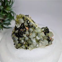 Fairy Forest Epidote 3.3’’ w Quartz Clusters #LV9603 $245