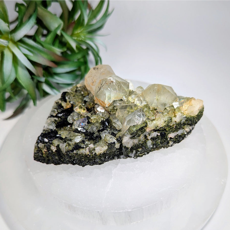 Fairy Forest Epidote 3.5’’ w Quartz Clusters #LV9601 $215