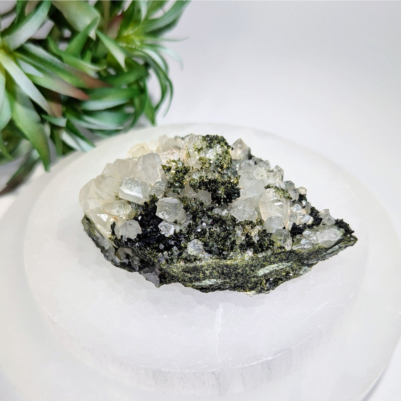 Fairy Forest Epidote 3’’ w Quartz Clusters #LV9600 $135